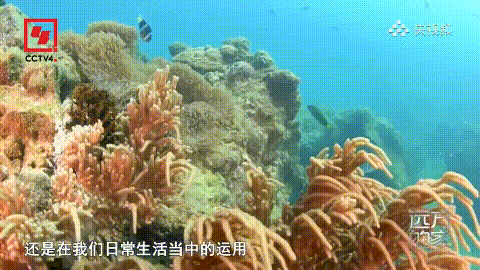 AC米兰(中国)体育官方网站-MILAN SPORTS