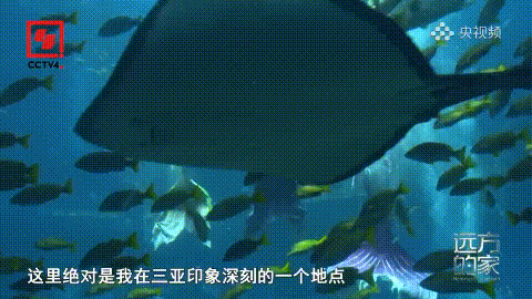 AC米兰(中国)体育官方网站-MILAN SPORTS