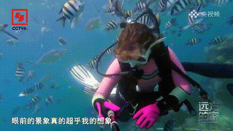 AC米兰(中国)体育官方网站-MILAN SPORTS