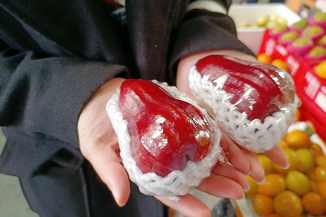 莲雾.jpg