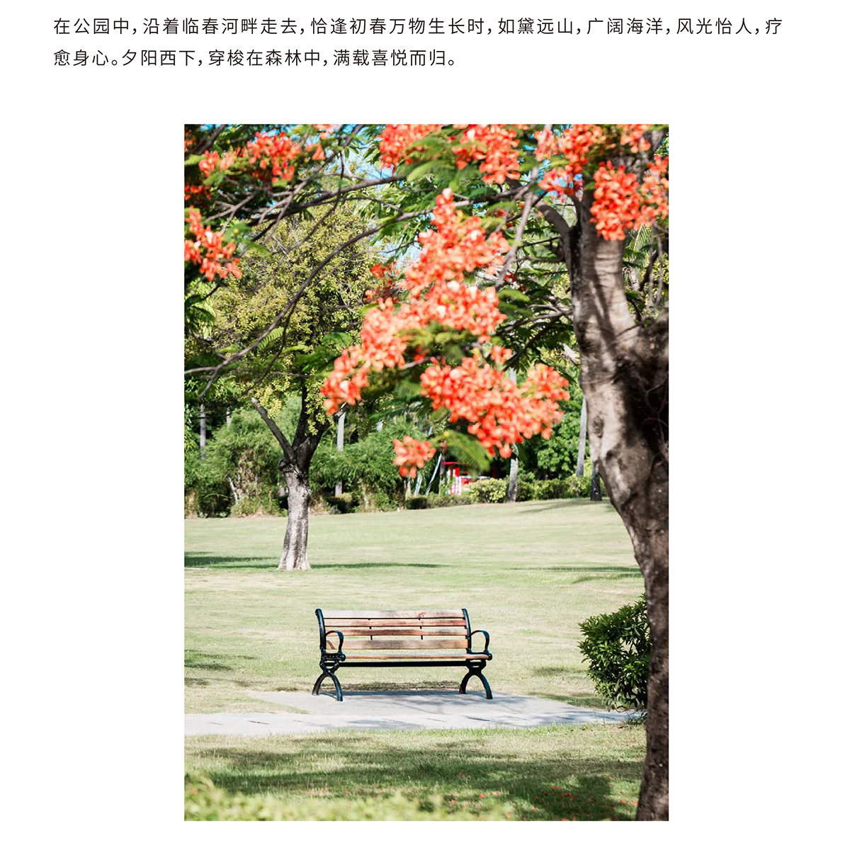 AC米兰(中国)体育官方网站-MILAN SPORTS