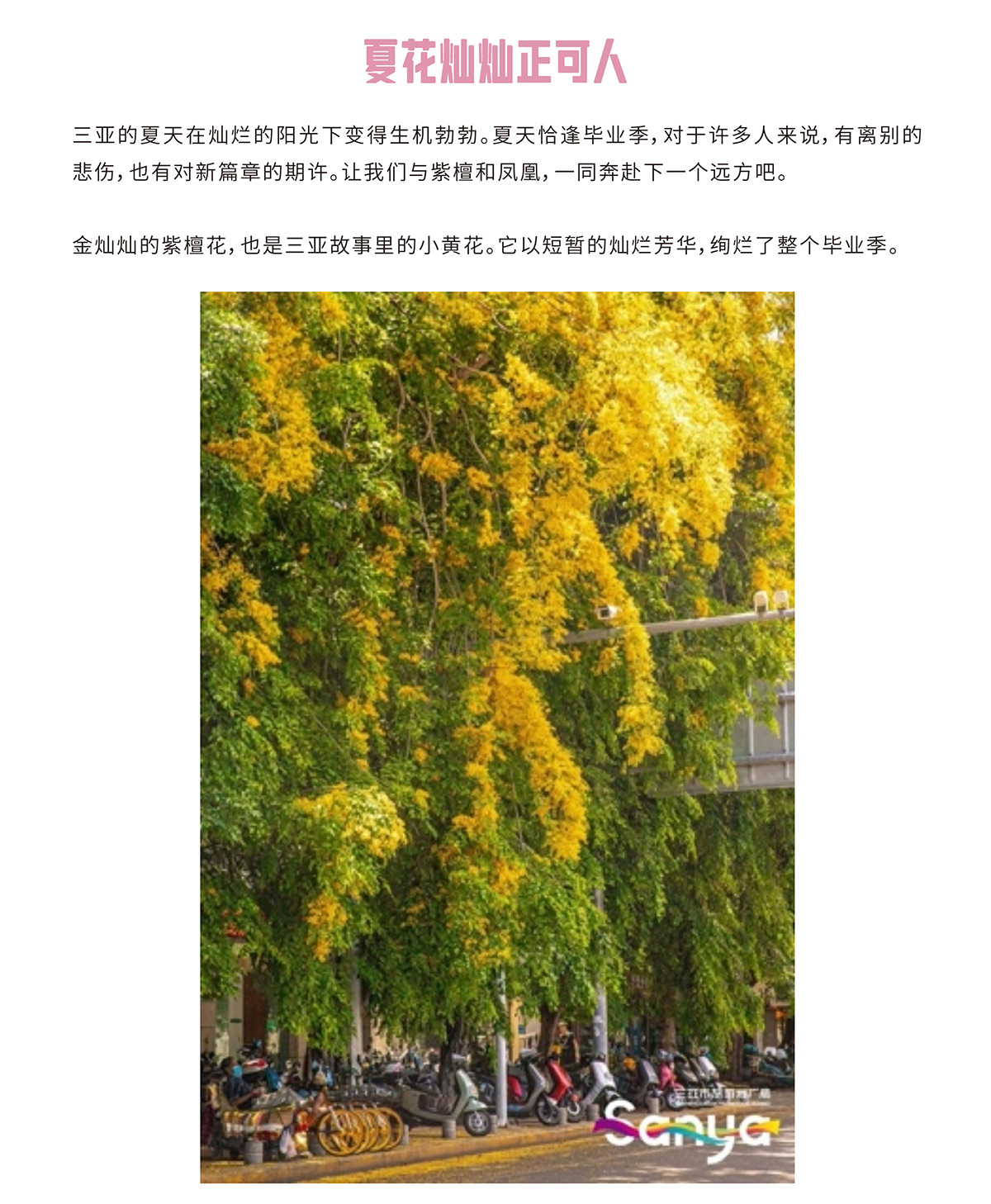AC米兰(中国)体育官方网站-MILAN SPORTS