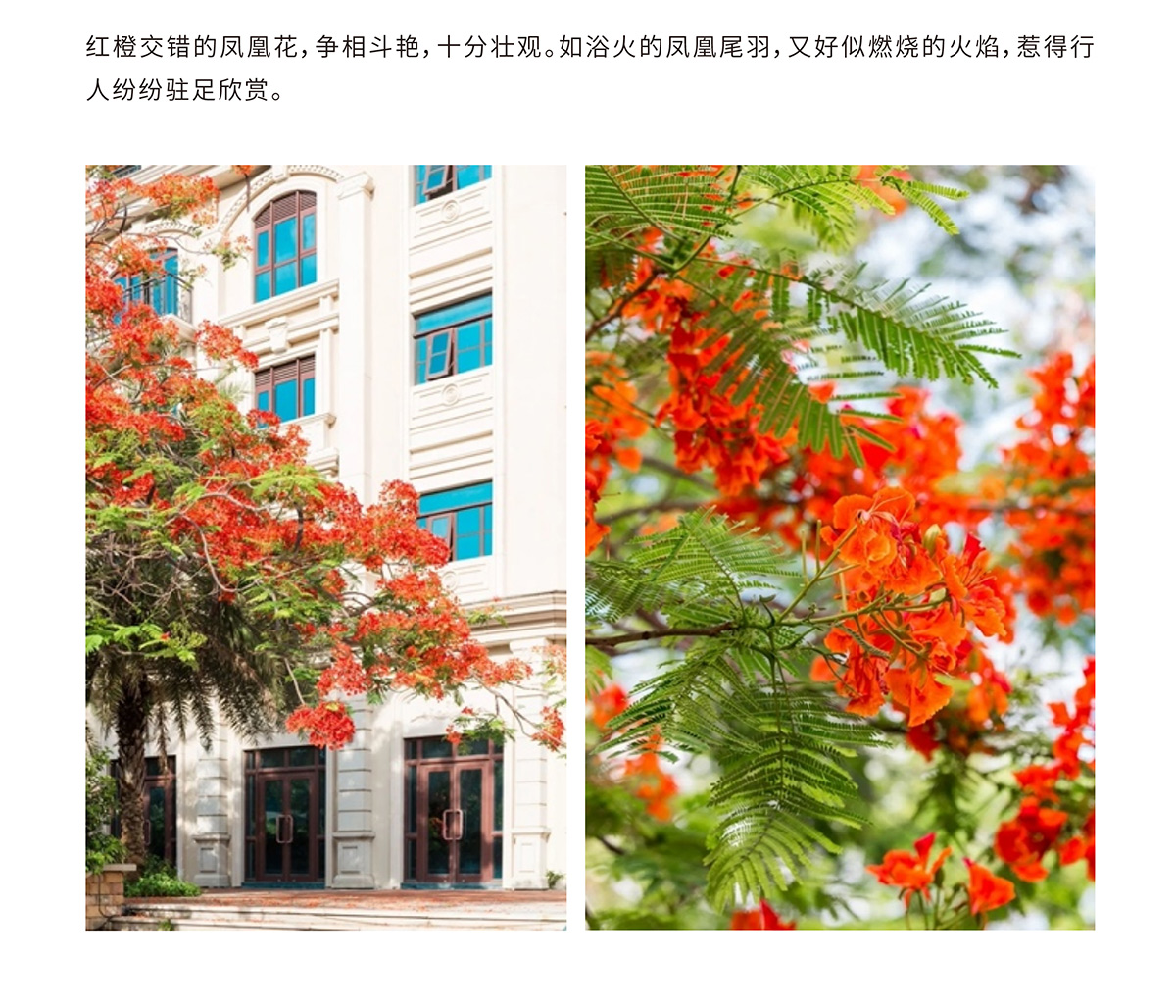 AC米兰(中国)体育官方网站-MILAN SPORTS