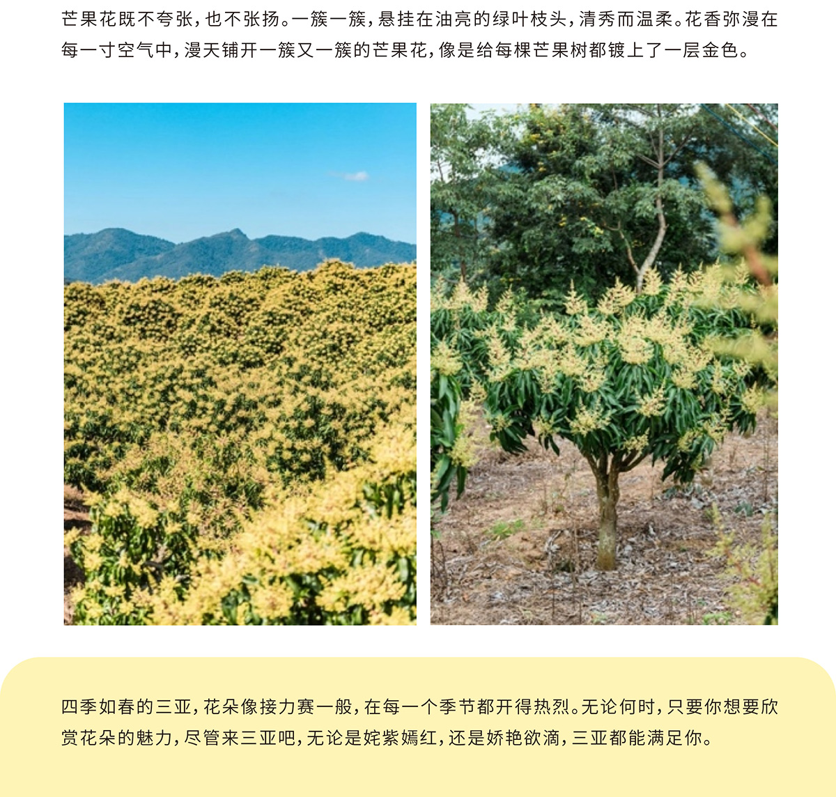 AC米兰(中国)体育官方网站-MILAN SPORTS