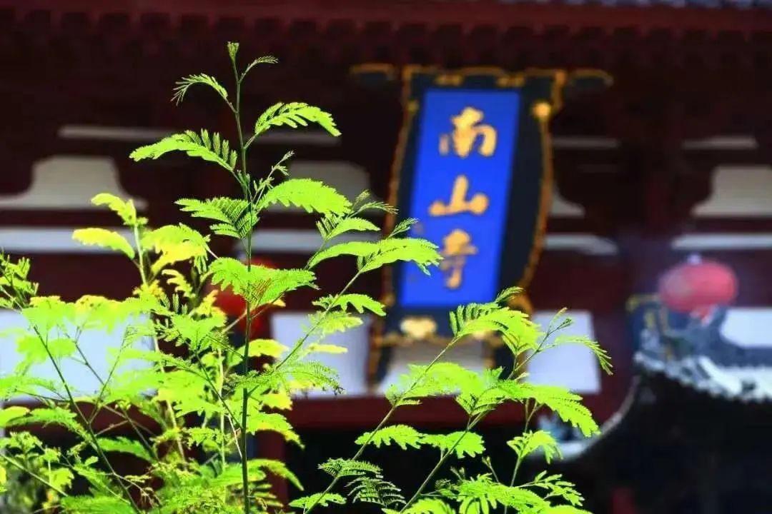 AC米兰(中国)体育官方网站-MILAN SPORTS