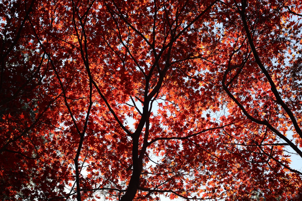 AC米兰(中国)体育官方网站-MILAN SPORTS